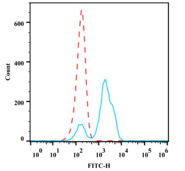 Anti-Human CD2, FITC (Clone:RPA-2.10) - 结果示例图片