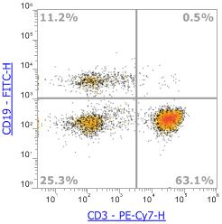 Anti-Human CD3 (SK7),PE-Cy7 流式抗体 - 结果示例图片