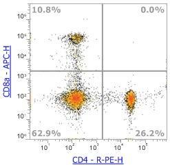 Anti-Human CD4, PE (Clone:OKT4) 流式抗体 - 结果示例图片