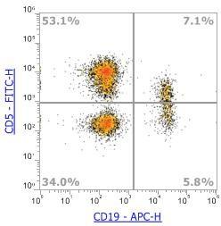 Anti-Human CD5,FITC (Clone: L17F12) 流式抗体 - 结果示例图片