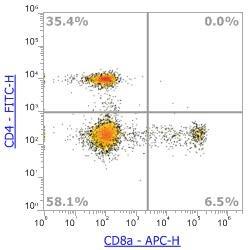 Anti-Human CD8α, APC (Clone:HIT8a) 流式抗体 - 结果示例图片