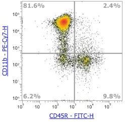 Anti-Human/Mouse CD11b，PE-Cy7 (Clone: M1/70) 流式抗体 - 结果示例图片