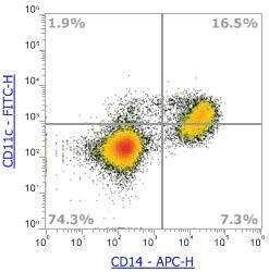 Anti-Human CD11c (3.9),FITC 流式抗体 - 结果示例图片