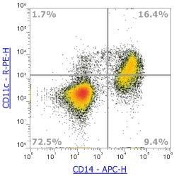Anti-Human CD11c (3.9),PE 流式抗体 - 结果示例图片