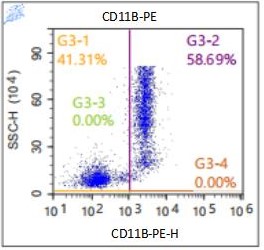 Anti-Human CD11b, PE (Clone: LT11)检测试剂 - 结果示例图片
