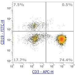 Anti-Human CD19 (SJ25C1),FITC 流式抗体 - 结果示例图片