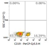 Anti-Human CD19, PerCP-Cy5.5 (Clone:SJ25C1) 流式抗体 检测试剂 - 结果示例图片