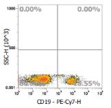 Anti-Human CD19, PE-Cy7 (Clone:SJ25C1) 流式抗体 - 结果示例图片