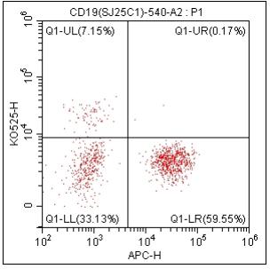 Anti-Human CD19, mFluor 540(Clone:SJ25C1)检测试剂 - 结果示例图片