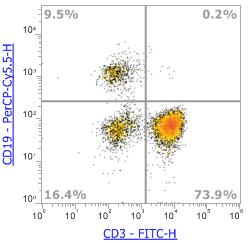Anti-Human CD19 (HIB19)，PerCP-Cy5.5 流式抗体 - 结果示例图片