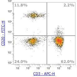 Anti-Human CD20,FITC (Clone: 2H7) 流式抗体 - 结果示例图片