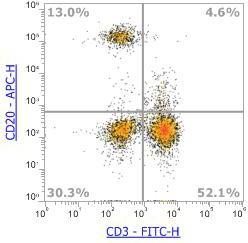Anti-Human CD20，APC (Clone: 2H7) 流式抗体 - 结果示例图片