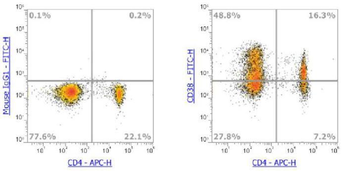 Anti-Human CD38，FITC (Clone: HIT2) 流式抗体 - 结果示例图片