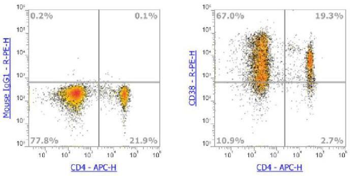 Anti-Human CD38，PE (Clone: HIT2) 流式抗体 - 结果示例图片