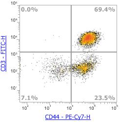 Anti-Human/Mouse CD44,PE-Cy7(Clone:IM7)流式抗体 - 结果示例图片