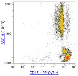 Anti-Human CD45 (HI30),PE-Cy7 流式抗体 - 结果示例图片