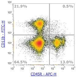 Anti-Human/Mouse CD45R (B220), APC (Clone:RA3-6B2) 流式抗体 - 结果示例图片