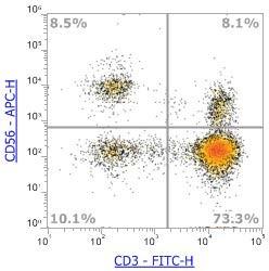 Anti-Human CD56 (NCAM), APC (Clone:MY31)流式抗体 - 结果示例图片