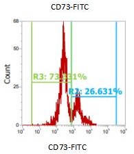 Anti-Human CD73, FITC (Clone: 07)流式抗体 检测试剂 - 结果示例图片