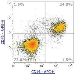 Anti-Human CD86 (B7-2), PE (Clone:IT2.2) 流式抗体 - 结果示例图片