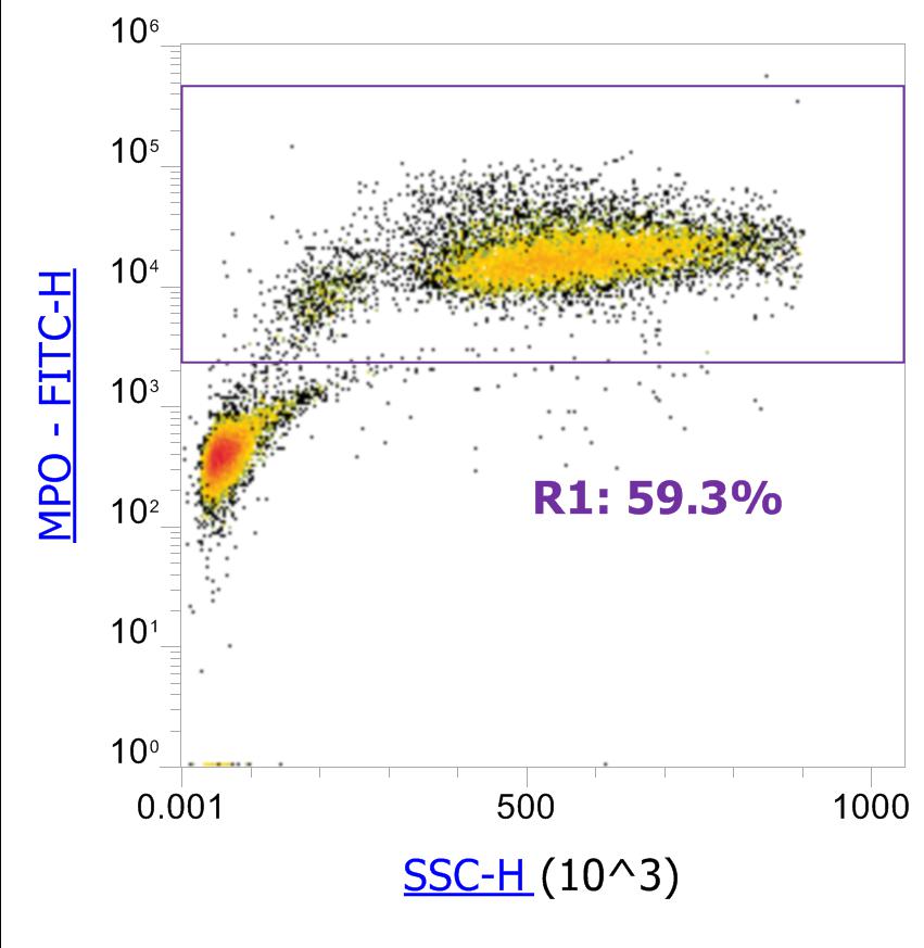 Anti-Human MPO, FITC (Clone MPO455-8E6) - 结果示例图片