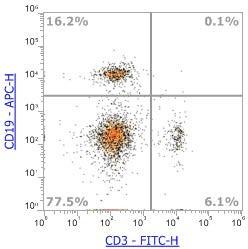 Anti-Mouse CD3ε, FITC (Clone:145-2C11) 流式抗体 - 结果示例图片