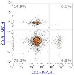 Anti-Mouse CD3ε, PE (Clone:145-2C11) 流式抗体 - 结果示例图片