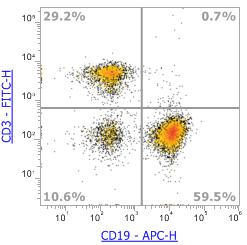 Anti-Mouse CD3e (17A2),FITC 流式抗体 - 结果示例图片