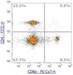 Anti-Mouse CD8α, PE-Cy7 (Clone:53-6.7)流式抗体 - 结果示例图片
