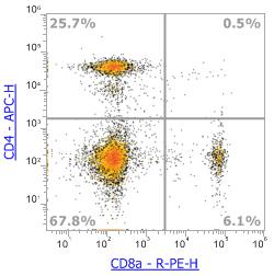 Anti-Mouse CD8α, PE (Clone:2.43) 流式抗体 - 结果示例图片