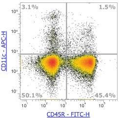 Anti-Mouse CD11c (N418)，APC 流式抗体 - 结果示例图片