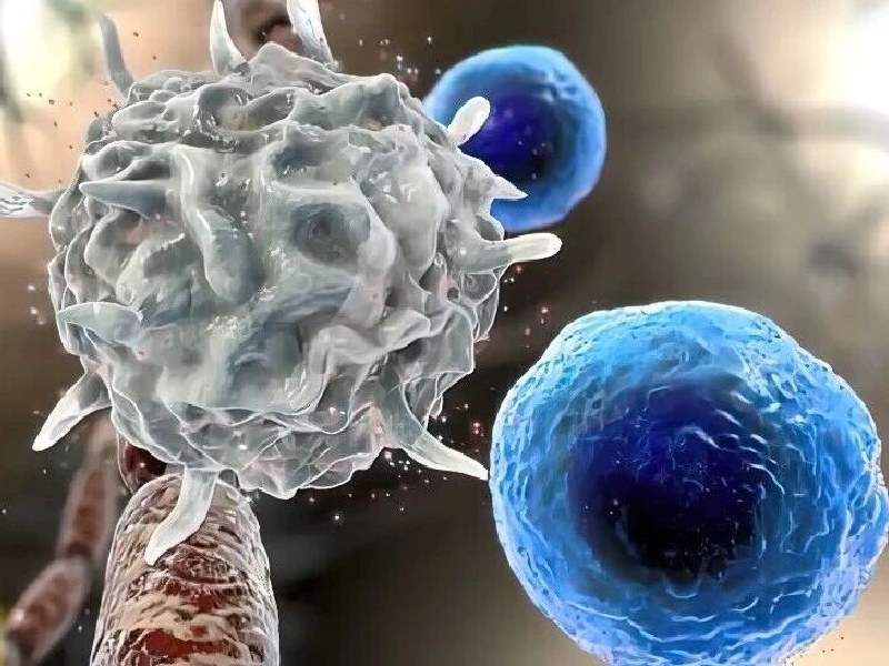 大鼠Treg流式检测｜完整实操流程（新手不踩坑版）