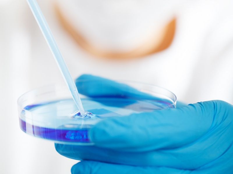 ELISA常见样本的处理方法—组织样本