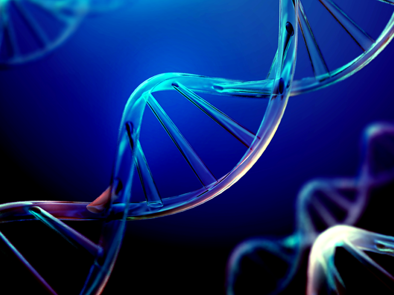 Read more about the article 联科精选：Human IL-16 ELISA检测试剂盒