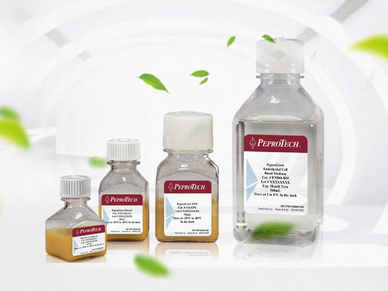 Read more about the article PeproTech培养基产品推荐： 内皮细胞培养基
