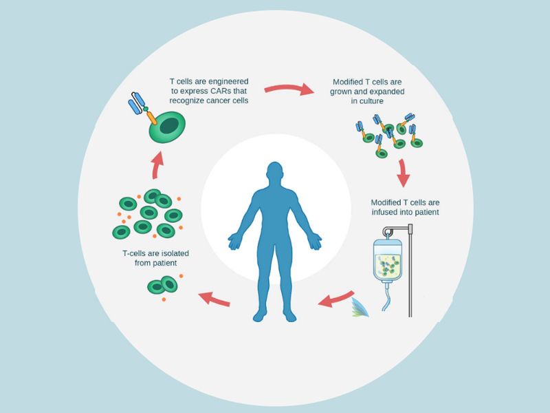Read more about the article 联科生物CAR-T研究相关产品推荐