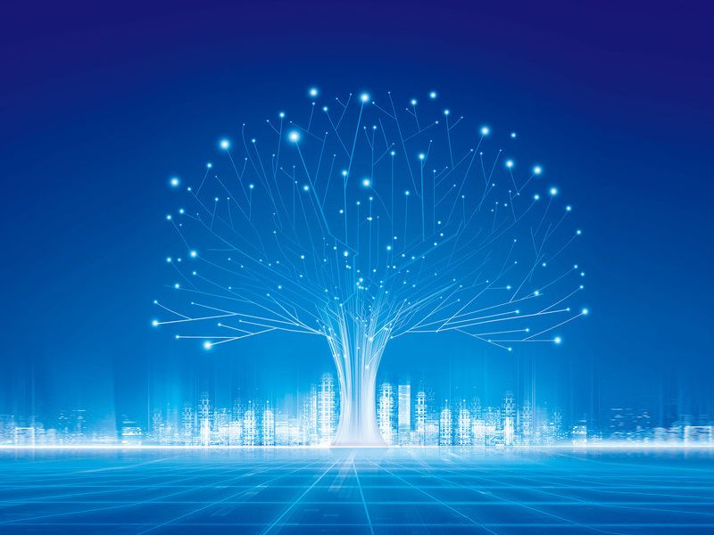 Read more about the article 基本信号传导系统：Notch信号通路