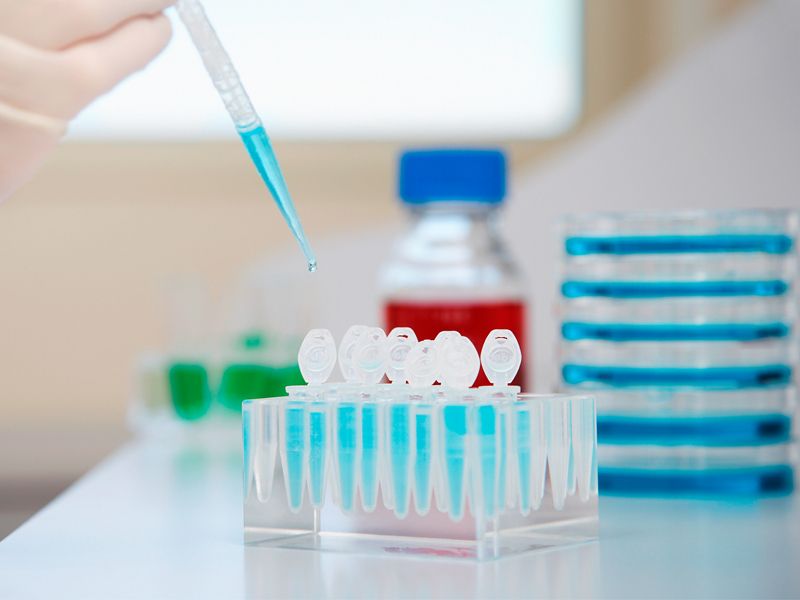 Read more about the article 固定破膜剂 超低价特惠