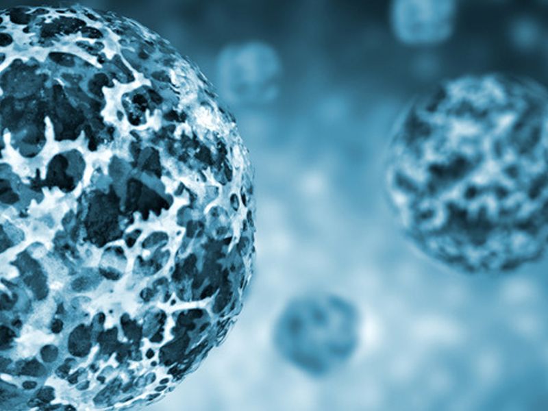 Read more about the article LMAN2检测试剂盒联科Elisa3月人elisa试剂盒