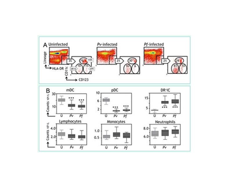 Read more about the article 2013年联科生物免疫学最新进展Ⅰ