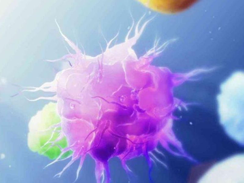 Read more about the article T细胞活化与极化检测系列:Th17细胞介绍