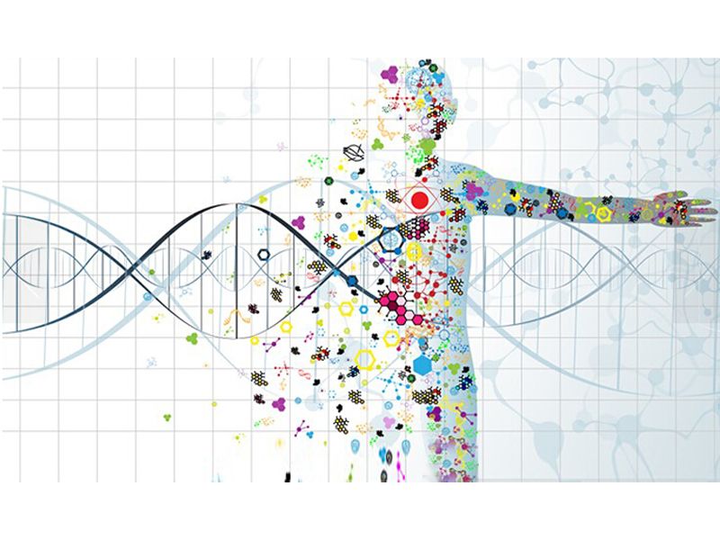 Read more about the article 人ELISA检测试剂盒推荐：AFP甲胎蛋白