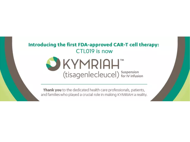 Read more about the article 爆料：诺华首次公布CAR-T细胞制备全过程