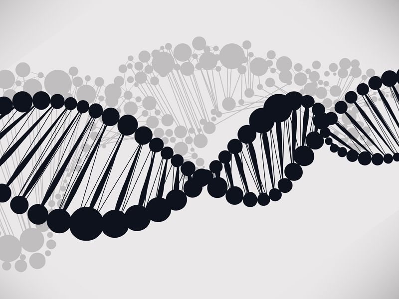 Read more about the article 细胞凋亡周期检测MTT四唑盐比色实验注意事项