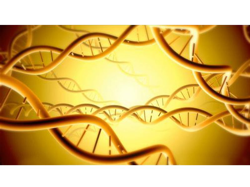 Read more about the article ELISA推荐：RBP4视黄醇结合蛋白4检测试剂盒