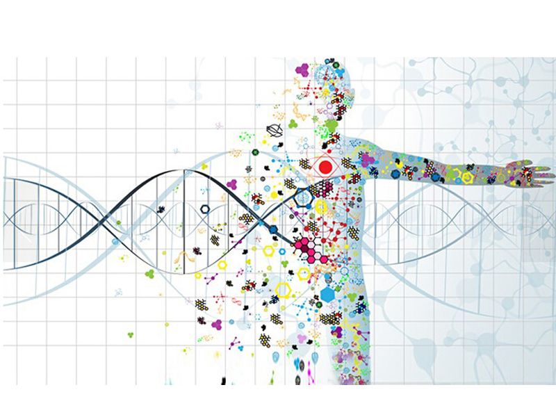 Read more about the article 联科新品：人Galectin-3 ELISA检测试剂盒