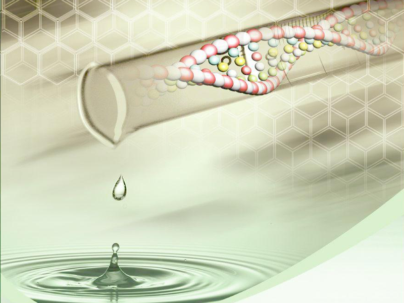 Read more about the article PeproTech小分子抑制剂:SB 431542