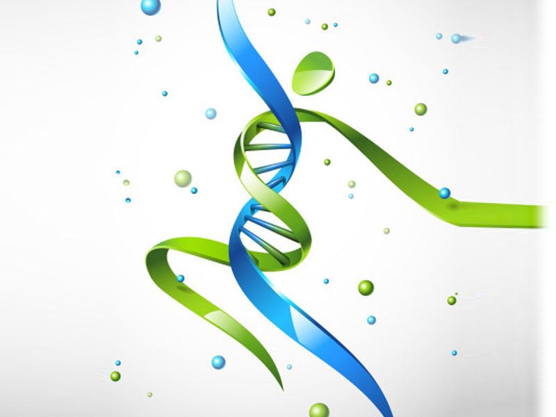 Read more about the article BioVision细胞活力检测试剂盒特点介绍