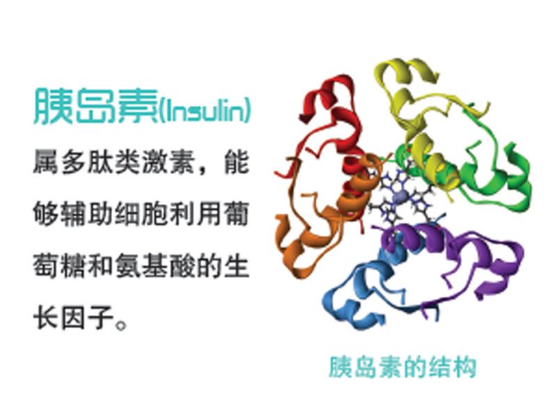 Read more about the article PeproTech(BioGems)最新推出重组人胰岛素