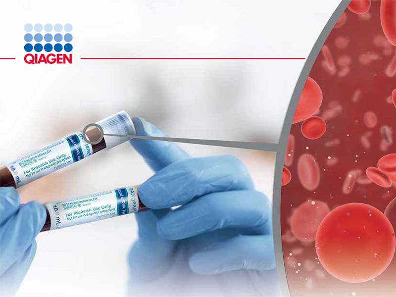 Read more about the article 从全血采集到游离核酸建库， 一气呵成！